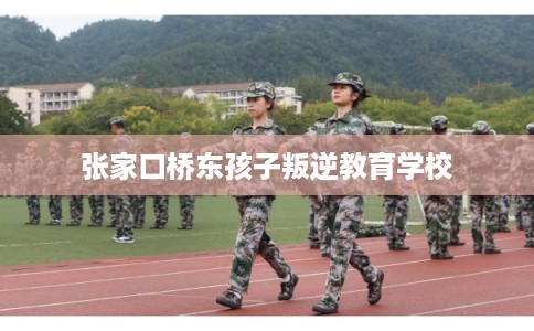 张家口桥东孩子叛逆教育学校 张家口桥东孩子叛逆教育学校