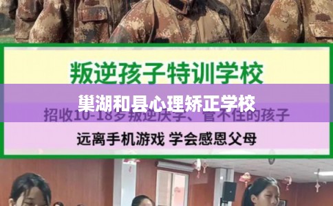 巢湖和县心理矫正学校