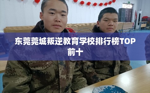 东莞莞城叛逆教育学校排行榜TOP前十