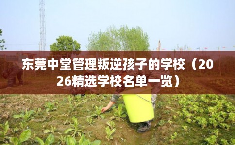 东莞中堂管理叛逆孩子的学校（2026精选学校名单一览）