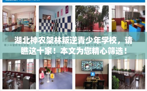 湖北神农架林叛逆青少年学校，请瞧这十家！本文为您精心筛选！