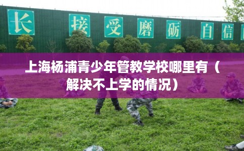 上海杨浦青少年管教学校哪里有（解决不上学的情况）