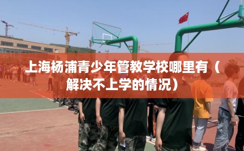 上海杨浦青少年管教学校哪里有（解决不上学的情况）