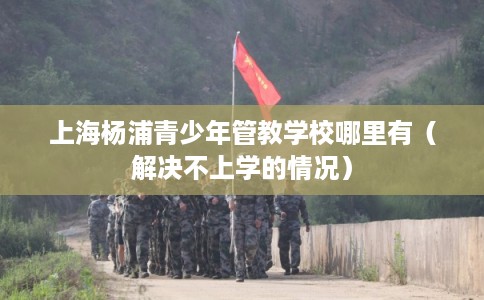 上海杨浦青少年管教学校哪里有（解决不上学的情况）
