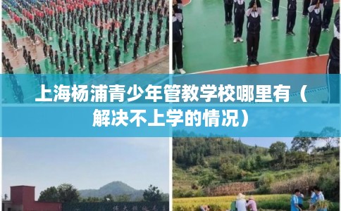 上海杨浦青少年管教学校哪里有（解决不上学的情况）