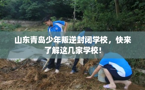 山东青岛少年叛逆封闭学校，快来了解这几家学校!
