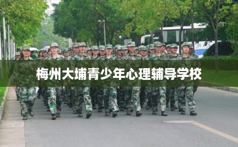 梅州大埔青少年心理辅导学校