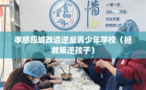 孝感应城改造逆反青少年学校（拯救叛逆孩子）
