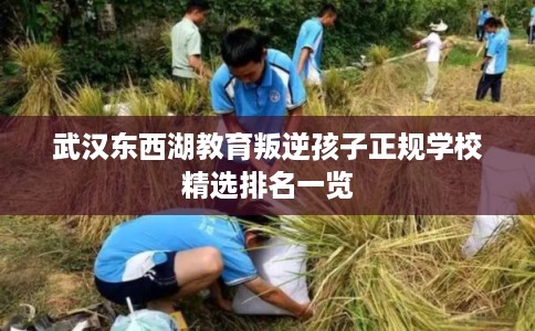 武汉东西湖教育叛逆孩子正规学校精选排名一览