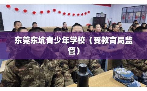 东莞东坑青少年学校（受教育局监管）