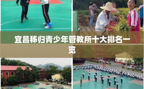 宜昌秭归青少年管教所十大排名一览 宜昌秭归青少年管教所十大排名一览