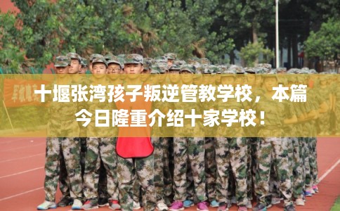 十堰张湾孩子叛逆管教学校，本篇今日隆重介绍十家学校！