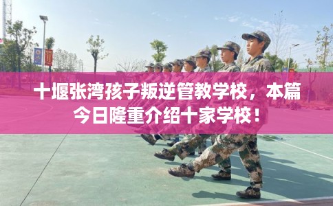 十堰张湾孩子叛逆管教学校，本篇今日隆重介绍十家学校！