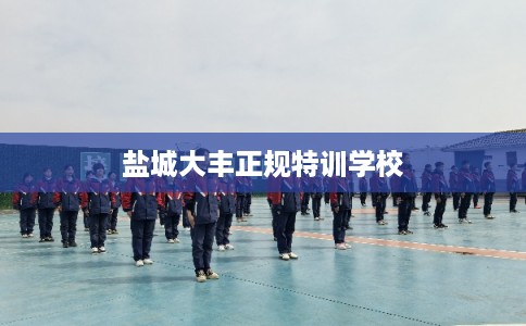 盐城大丰正规特训学校