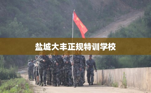 盐城大丰正规特训学校