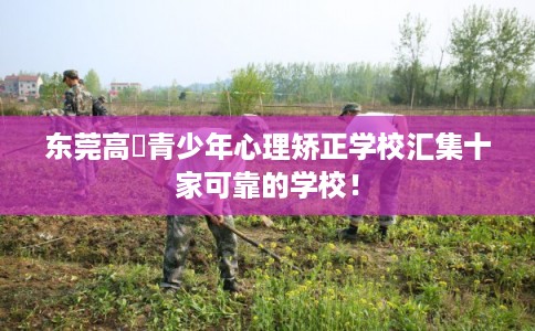 东莞高埗青少年心理矫正学校汇集十家可靠的学校！