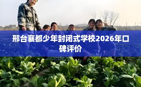 邢台襄都少年封闭式学校2026年口碑评价