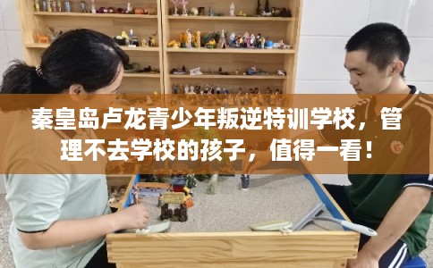 秦皇岛卢龙青少年叛逆特训学校，管理不去学校的孩子，值得一看！