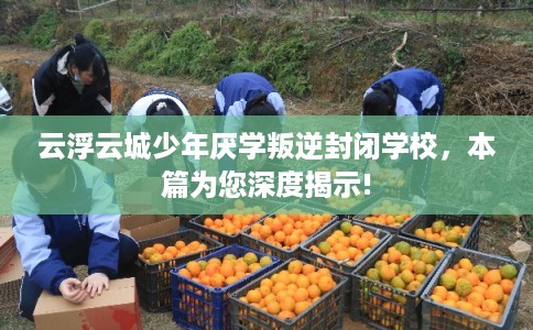 云浮云城少年厌学叛逆封闭学校，本篇为您深度揭示!