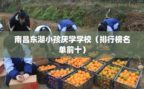 南昌东湖小孩厌学学校（排行榜名单前十）