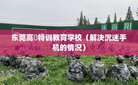 东莞高埗特训教育学校（解决沉迷手机的情况）