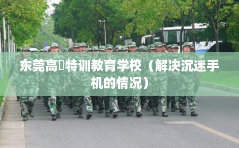 东莞高埗特训教育学校（解决沉迷手机的情况）