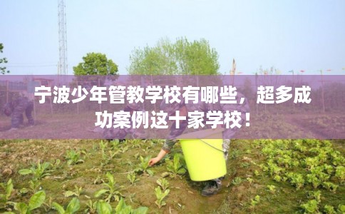宁波少年管教学校有哪些，超多成功案例这十家学校！