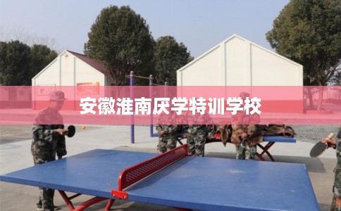安徽淮南厌学特训学校