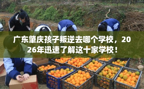 广东肇庆孩子叛逆去哪个学校，2026年迅速了解这十家学校！
