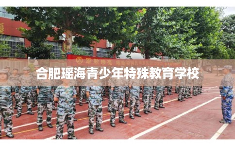 合肥瑶海青少年特殊教育学校 合肥瑶海青少年特殊教育学校