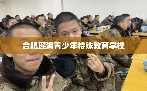 合肥瑶海青少年特殊教育学校 合肥瑶海青少年特殊教育学校