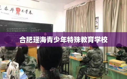 合肥瑶海青少年特殊教育学校 合肥瑶海青少年特殊教育学校