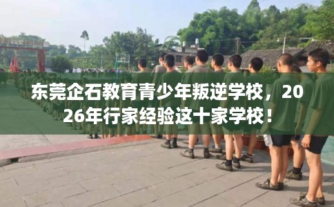 东莞企石教育青少年叛逆学校，2026年行家经验这十家学校！