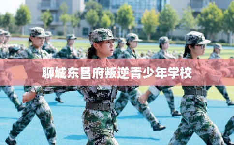 聊城东昌府叛逆青少年学校