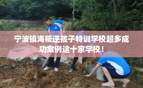 宁波镇海叛逆孩子特训学校超多成功案例这十家学校！