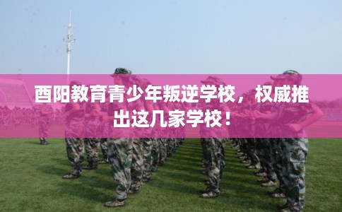 酉阳教育青少年叛逆学校，权威推出这几家学校！