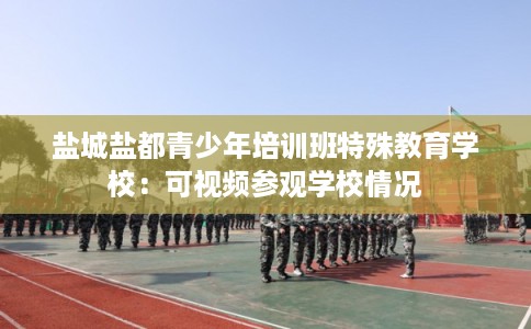 盐城盐都青少年培训班特殊教育学校:可视频参观学校情况 盐城盐都青少年培训班特殊教育学校:可视频参观学校情况
