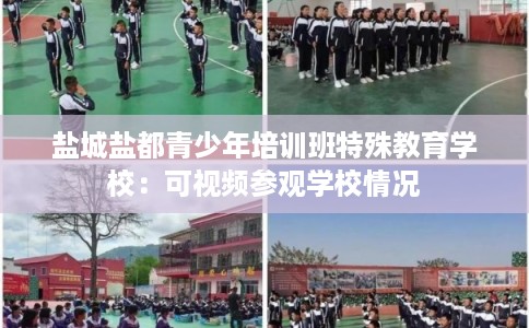 盐城盐都青少年培训班特殊教育学校：可视频参观学校情况