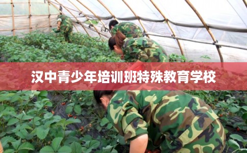 汉中青少年培训班特殊教育学校