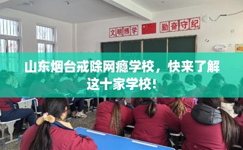 山东烟台戒除网瘾学校，快来了解这十家学校!