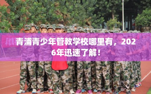 青浦青少年管教学校哪里有，2026年迅速了解！