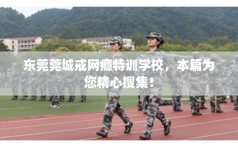 东莞莞城戒网瘾特训学校，本篇为您精心搜集！