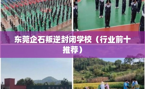 东莞企石叛逆封闭学校(行业前十推荐) 东莞企石叛逆封闭学校(行业前十推荐)
