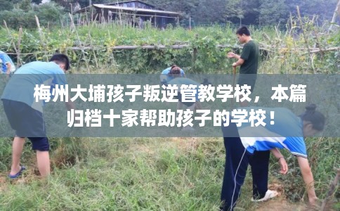 梅州大埔孩子叛逆管教学校，本篇归档十家帮助孩子的学校！