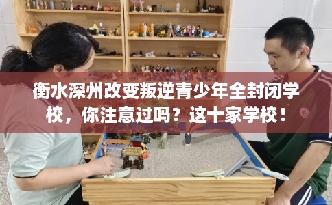 衡水深州改变叛逆青少年全封闭学校，你注意过吗？这十家学校！