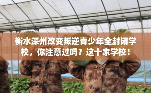 衡水深州改变叛逆青少年全封闭学校，你注意过吗？这十家学校！