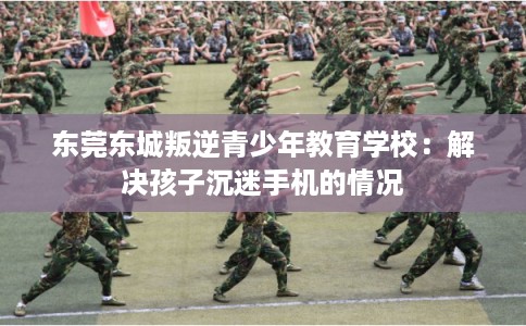 东莞东城叛逆青少年教育学校:解决孩子沉迷手机的情况 东莞东城叛逆青少年教育学校:解决孩子沉迷手机的情况