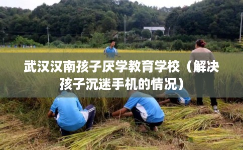 武汉汉南孩子厌学教育学校（解决孩子沉迷手机的情况）