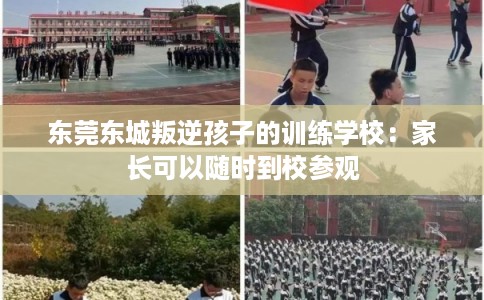 东莞东城叛逆孩子的训练学校：家长可以随时到校参观