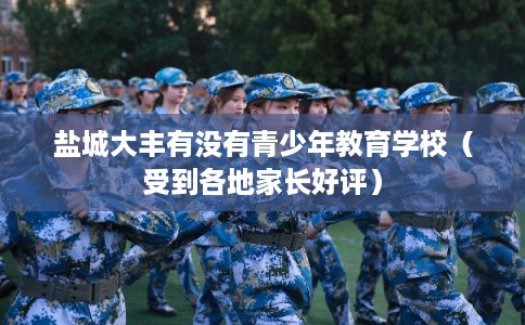 盐城大丰有没有青少年教育学校(受到各地家长好评) 盐城大丰有没有青少年教育学校(受到各地家长好评)